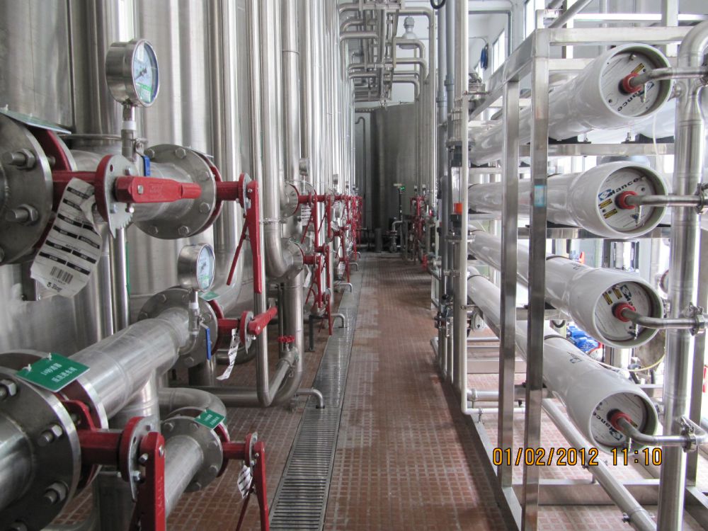 飲料(liao)廠(chang)20m3ph純(chun)水(shui)係統(tong)